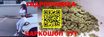 прущие грибы Бузулук